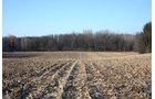 Property photo 7 - REAL ESTATE AUCTION - 84.5+/- ACRES IN 4 TRACTS IN WHITLEY COUNTY, INDIANA